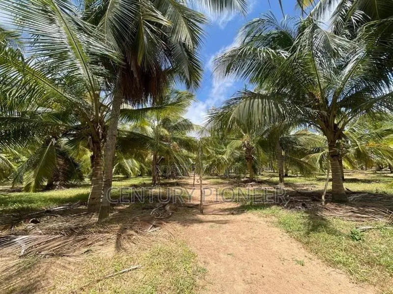 Prime Agricultural Land for Sale Puttalam
