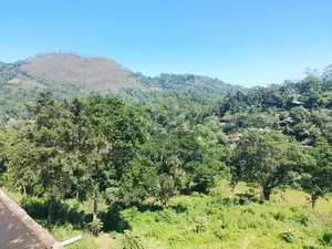 Prime Land for Sale in Ella