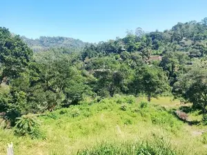 Prime Land for Sale in Ella