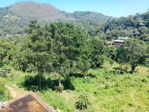 Prime Land for Sale in Ella
