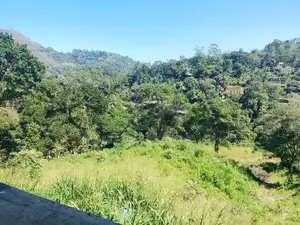 Prime Land for Sale in Ella
