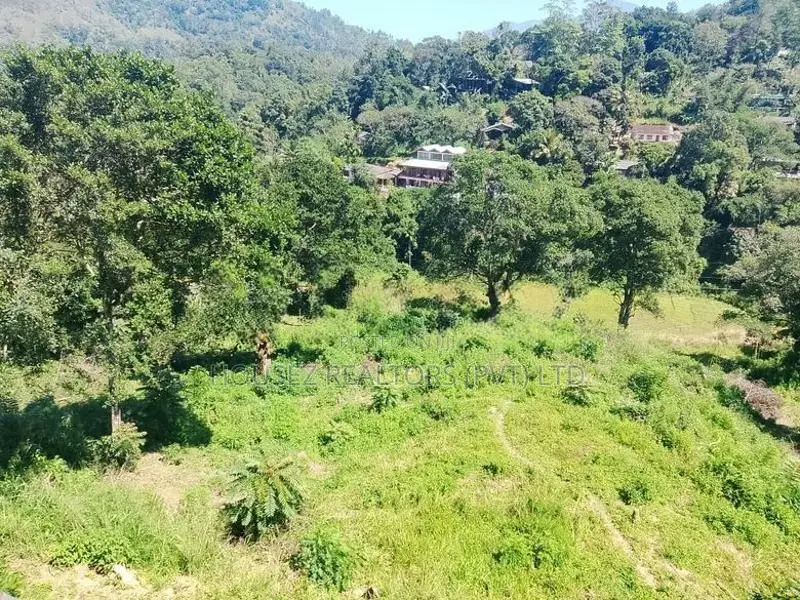 Prime Land for Sale in Ella