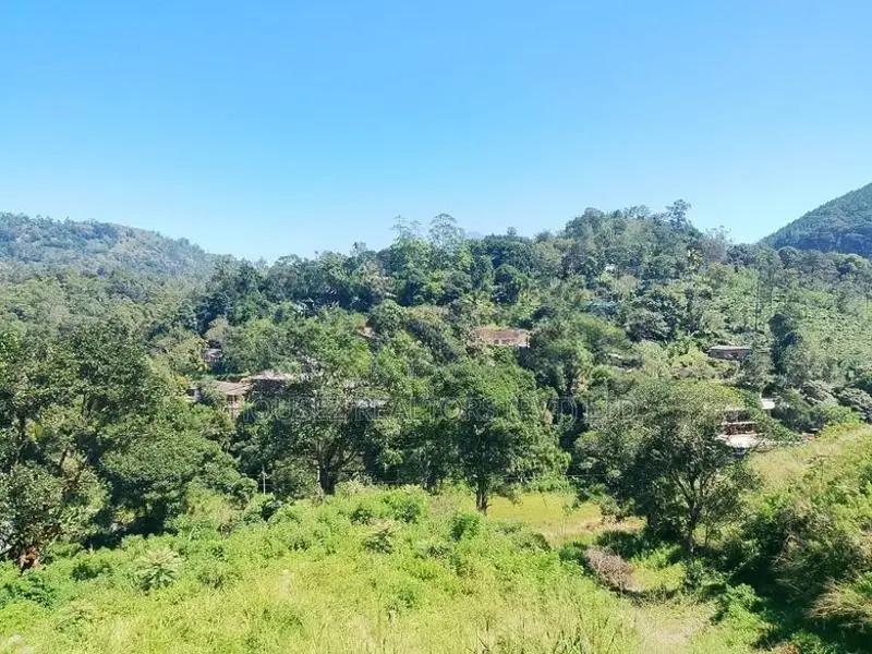 Prime Land for Sale in Ella