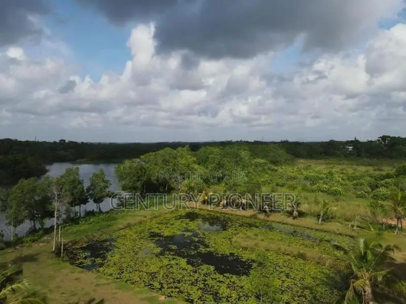 Waterfront Land for Sale in Bolgoda