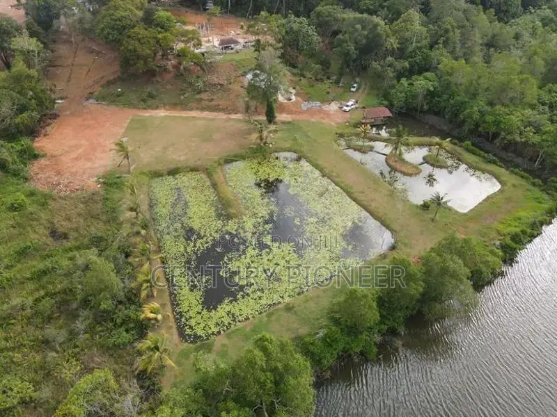 Waterfront Land for Sale in Bolgoda