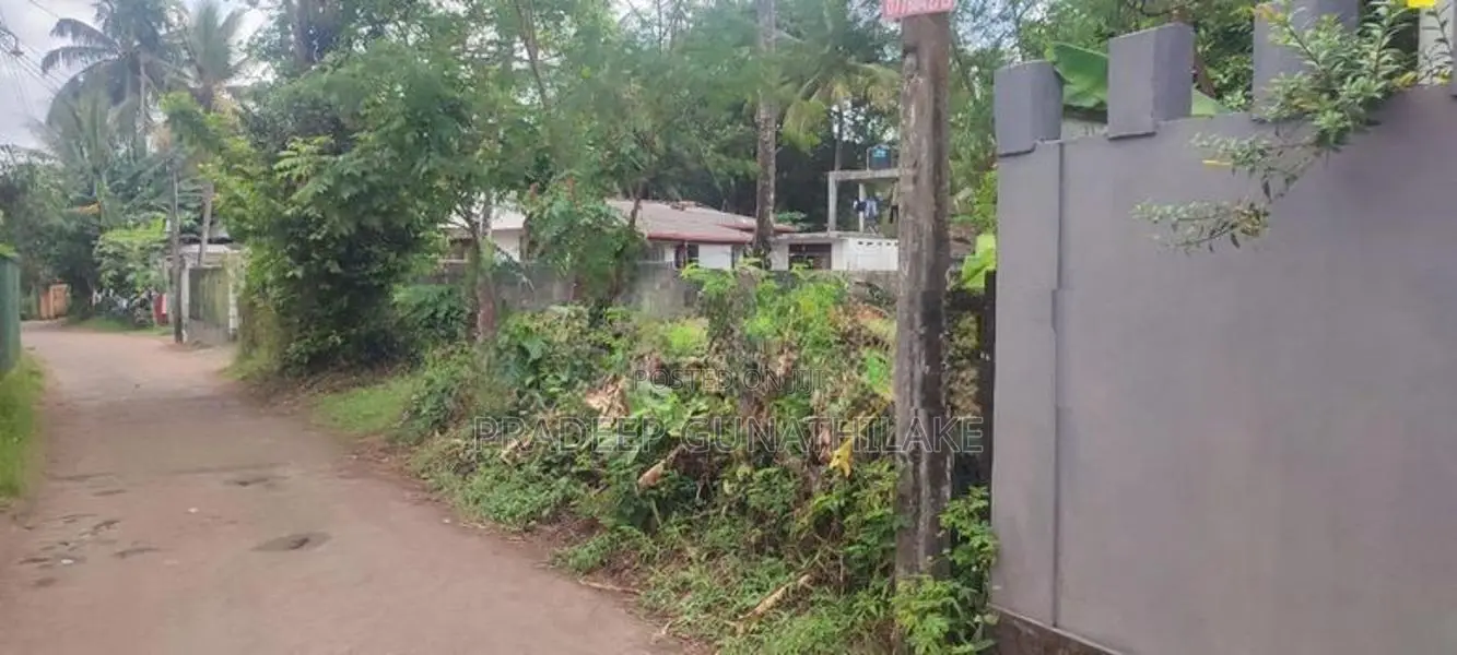 Prime Residential Land for Sale – Makola