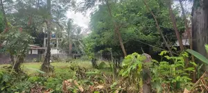 Prime Residential Land for Sale – Makola
