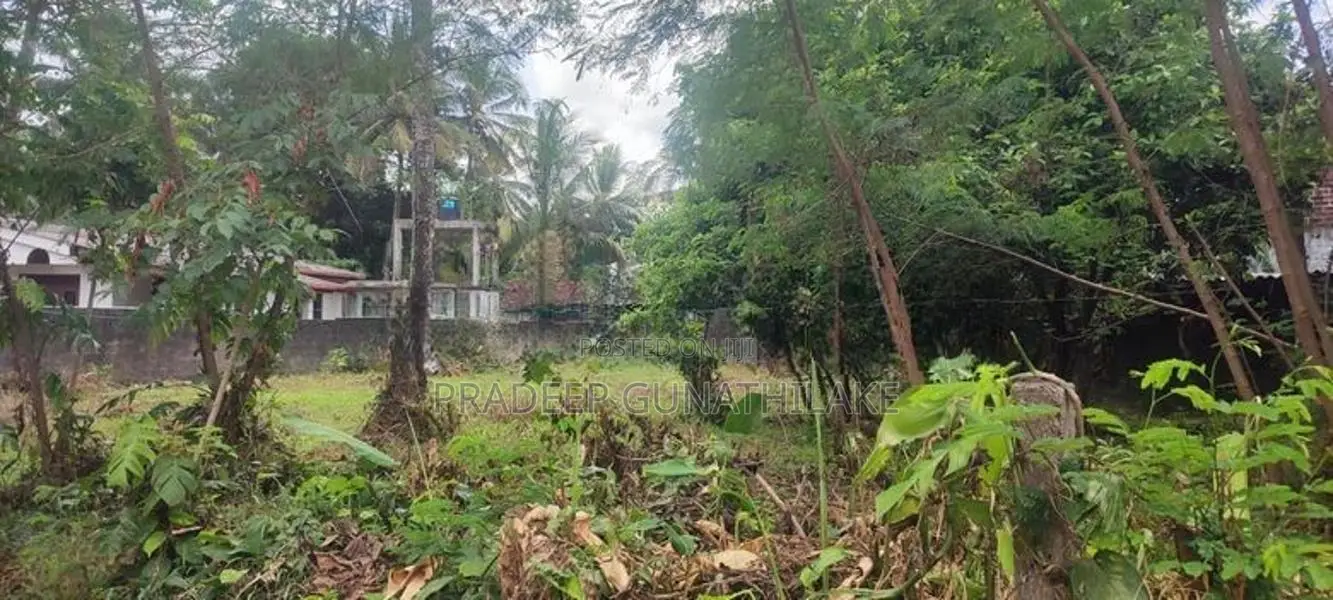 Prime Residential Land for Sale – Makola