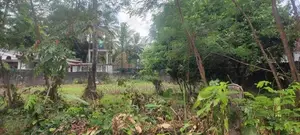 Prime Residential Land for Sale – Makola