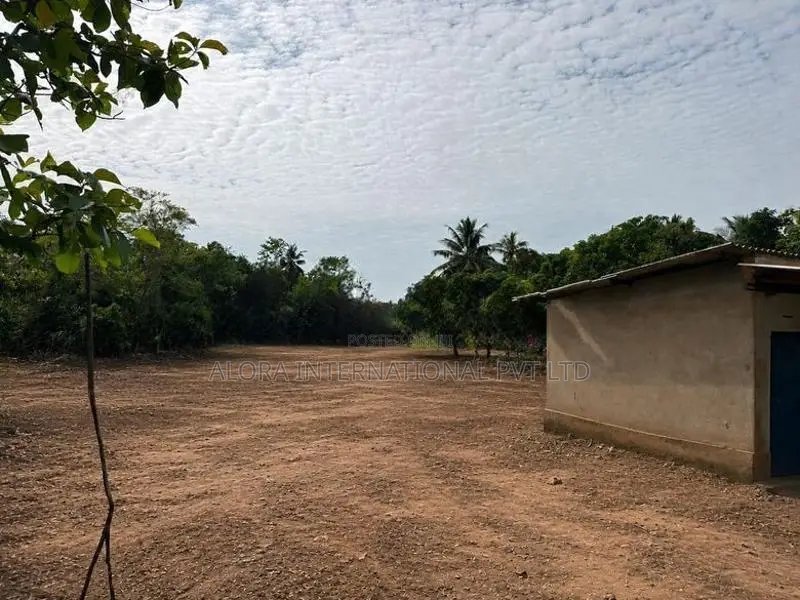 අම්පාර – උහන | පර්චස් 129.4 ක අගනා ඉඩම් එකතුවක්