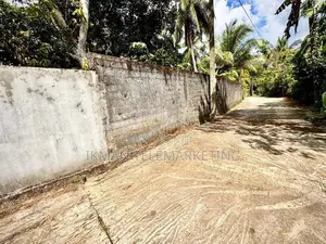 64.3 Perch Land for Sale in Radawana Junction