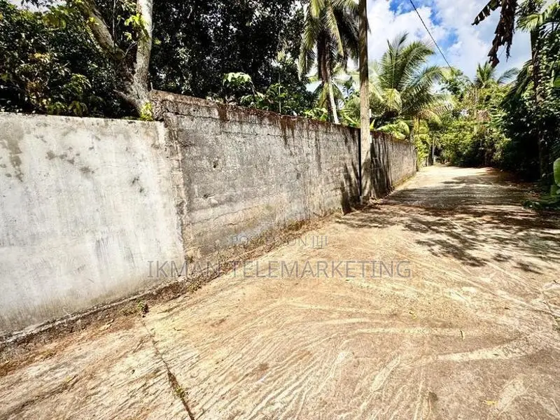 64.3 Perch Land for Sale in Radawana Junction