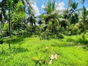 ( IS-1203) Valuable Residential Bare Land Sale in Homagama