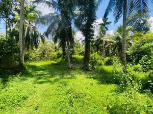 ( IS-1203) Valuable Residential Bare Land Sale in Homagama