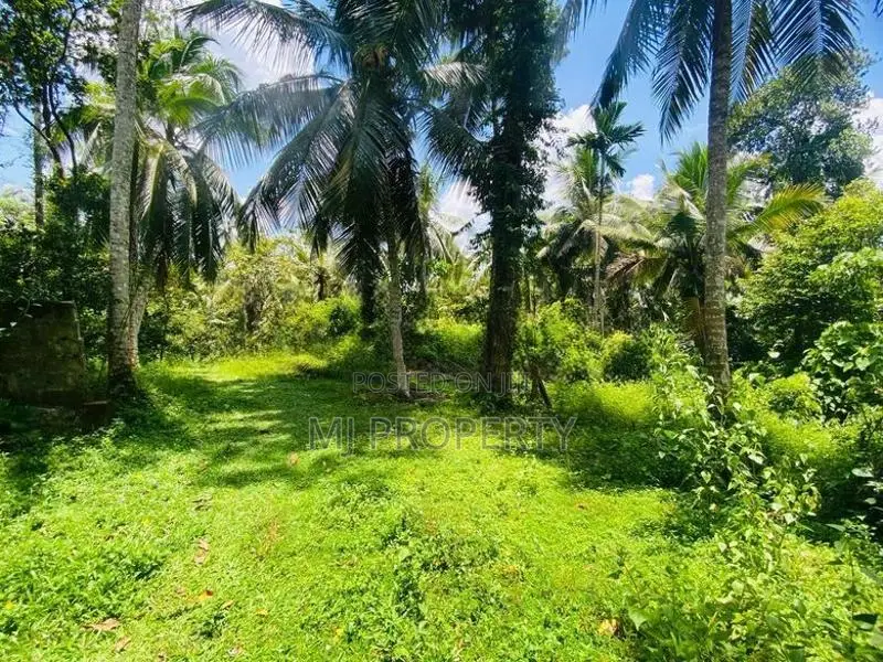 ( IS-1203) Valuable Residential Bare Land Sale in Homagama