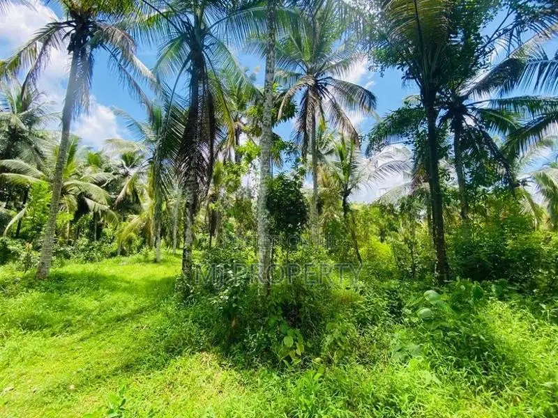 ( IS-1203) Valuable Residential Bare Land Sale in Homagama