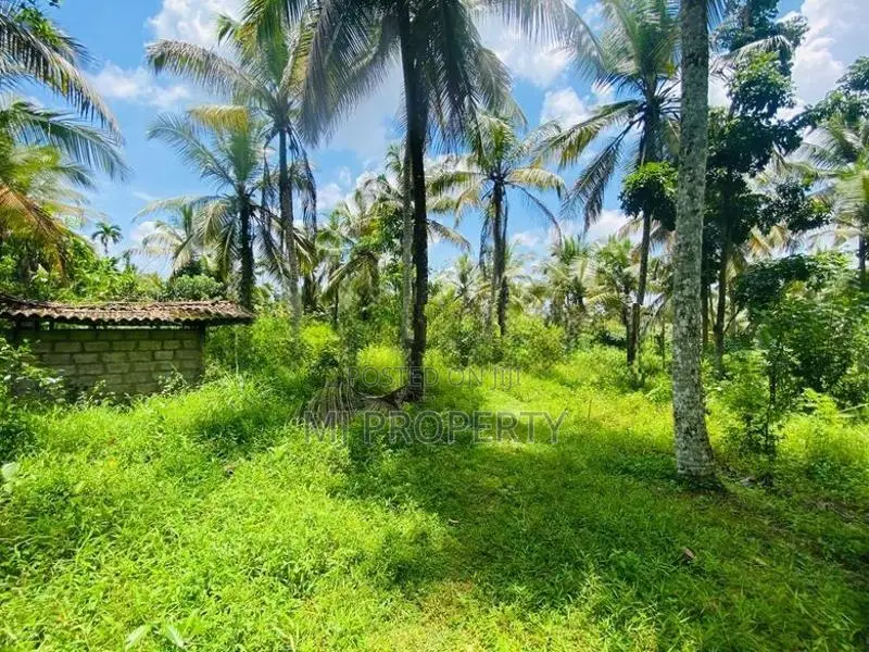 ( IS-1203) Valuable Residential Bare Land Sale in Homagama