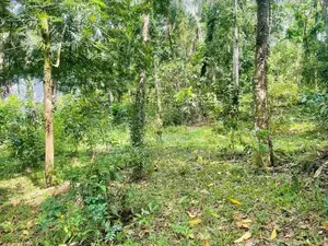 117 Perches Land for Sale – Arangala, Malabe