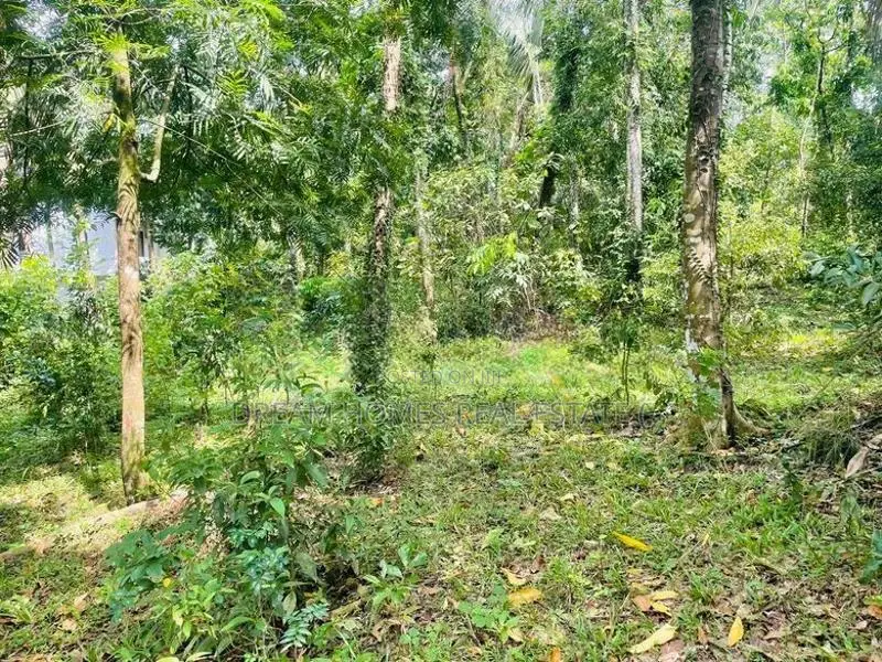 117 Perches Land for Sale – Arangala, Malabe