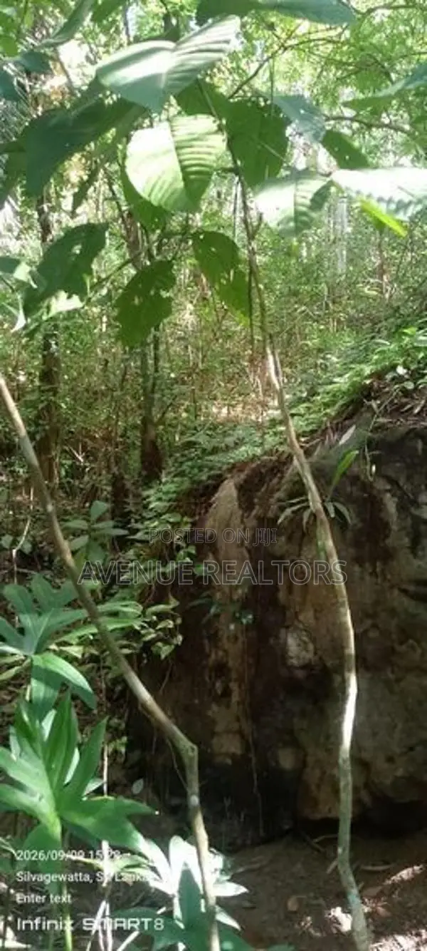 Land for Sale in Galle | LKR 728 Million (LA4950)
