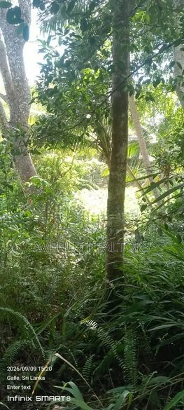 Land for Sale in Galle | LKR 728 Million (LA4950)