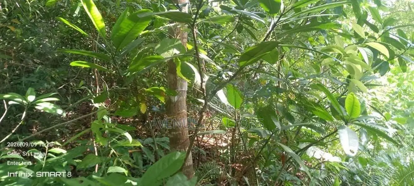 Land for Sale in Galle | LKR 728 Million (LA4950)