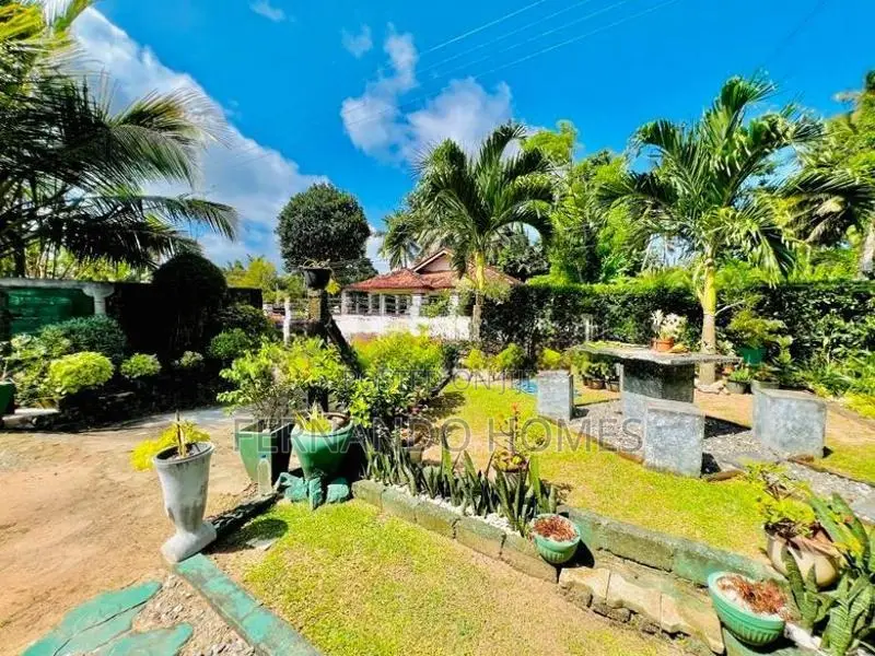 Unique Land Garden 3 Bed Rooms House For Sale In Kandawala Katana