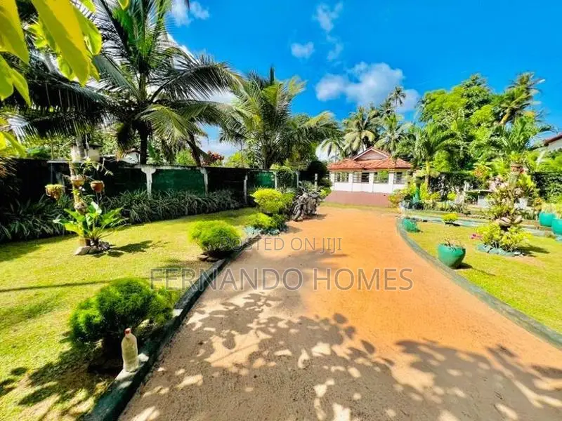 Unique Land Garden 3 Bed Rooms House For Sale In Kandawala Katana