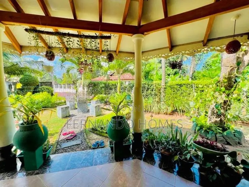 Unique Land Garden 3 Bed Rooms House For Sale In Kandawala Katana