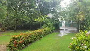 Estate Land for Sale in of Weligama.