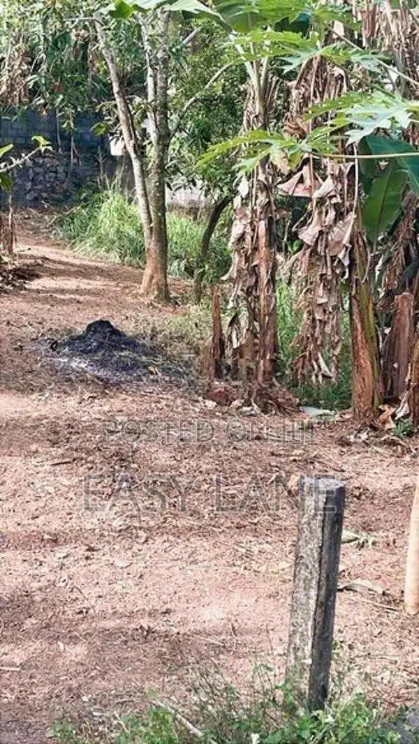 ගනේමුල්ල – තිබ්බොටුගොඩින් වටිනා නේවාසික ඉඩමක් විකිණීමට!