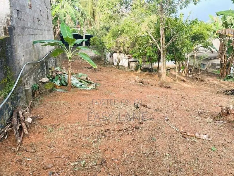 ගනේමුල්ල – තිබ්බොටුගොඩින් වටිනා නේවාසික ඉඩමක් විකිණීමට!