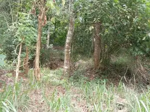 මහනුවර – මීගම්මනෙන් වටිනා නේවාසික ඉඩමක් විකිණීමට!