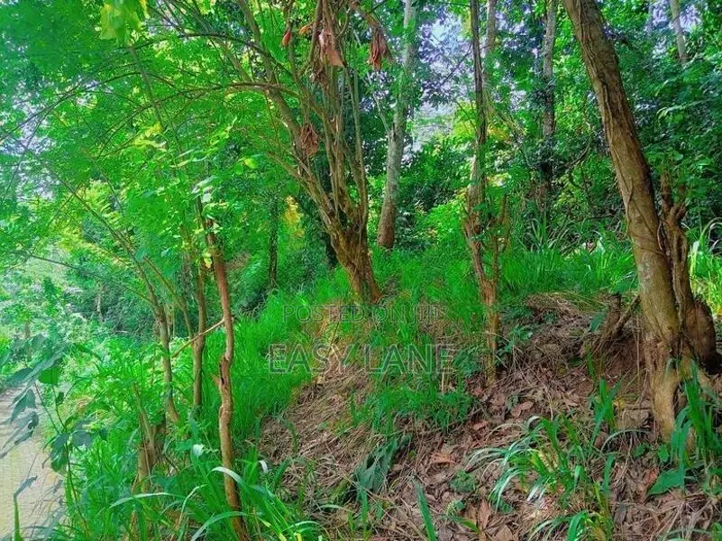 මහනුවර – මීගම්මනෙන් වටිනා නේවාසික ඉඩමක් විකිණීමට!