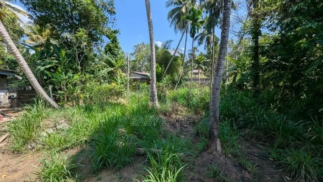 මීරිගම Town එකට පයින් යන දුරින් වටිනා ඉඩමක් විකිණීමට