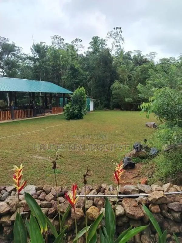 Fully Operational Nature Resort with Tea Estate for Sale in Kalawana