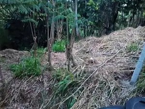 බණ්ඩාරවෙල , වටිනා ඉඩමක් ඉතා