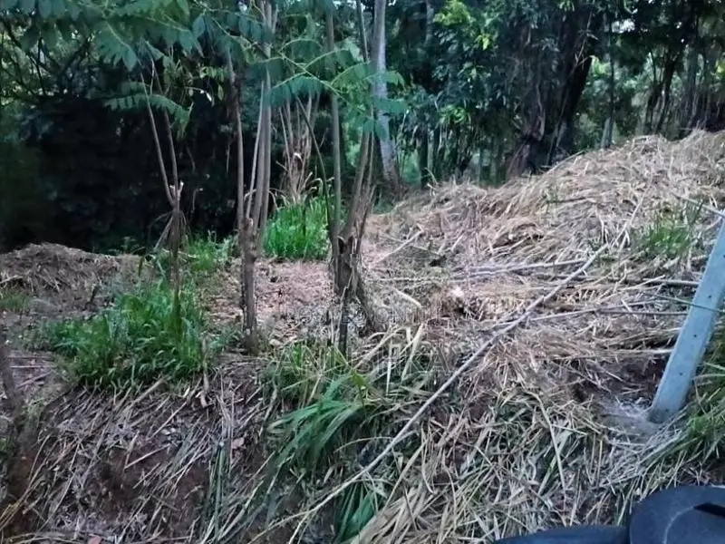 බණ්ඩාරවෙල , වටිනා ඉඩමක් ඉතා