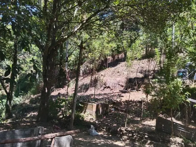 බණ්ඩාරවෙල , වටිනා ඉඩමක් ඉතා