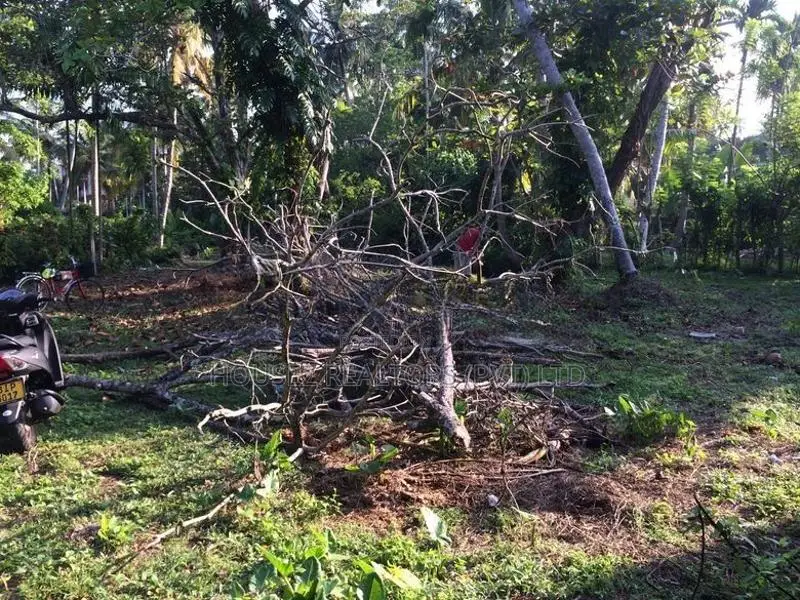 Prime Residential Land for Sale in Habaraduwa – Two Plots Available