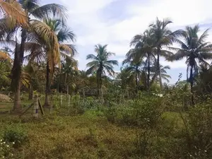 ​කුලියාපිටිය පළුගමුව පදිංචියට වටිනා බිම් කොටසක් විකිණීමට