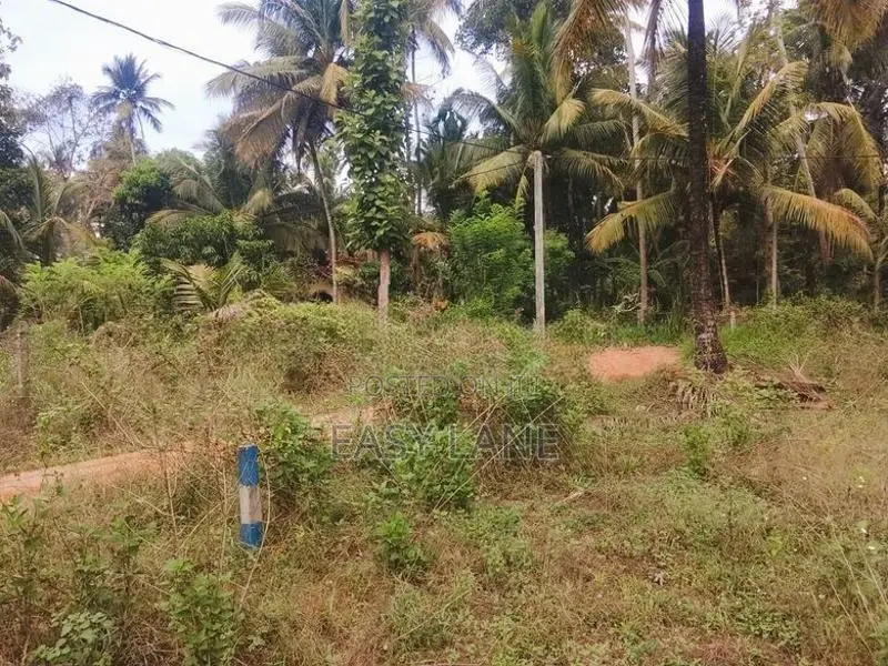 ​කුලියාපිටිය පළුගමුව පදිංචියට වටිනා බිම් කොටසක් විකිණීමට