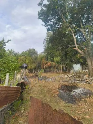 Land For Sale In Kinniya