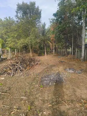 Land For Sale In Kinniya