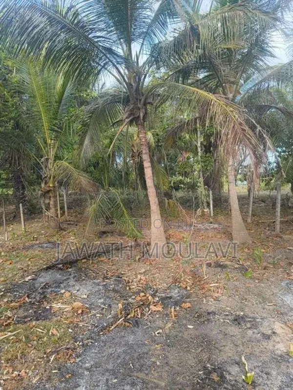 Land For Sale In Kinniya