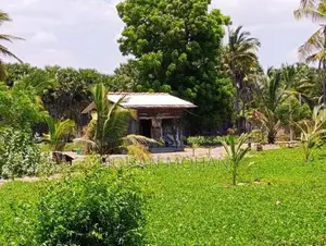 Land Sale in தாண்டியடி