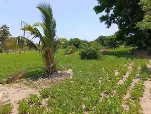 Land Sale in தாண்டியடி