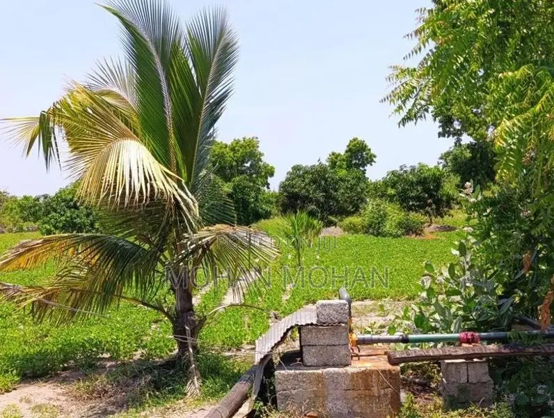 Land Sale in தாண்டியடி
