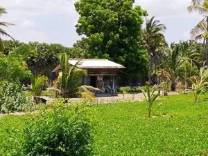 Land For Sale In Akkarepattu