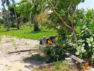 Land For Sale In Akkarepattu